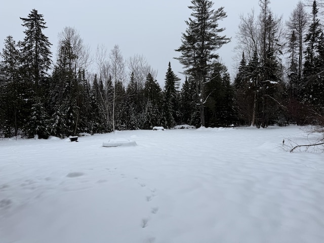 view of yard covered in snow