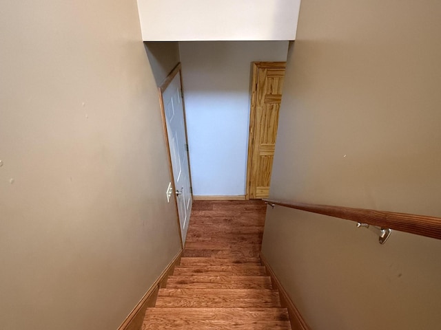 staircase featuring wood-type flooring