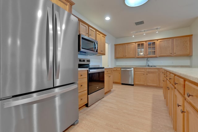 kitchen with appliances with stainless steel finishes, light hardwood / wood-style flooring, and sink