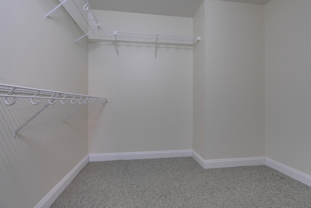 spacious closet with carpet flooring