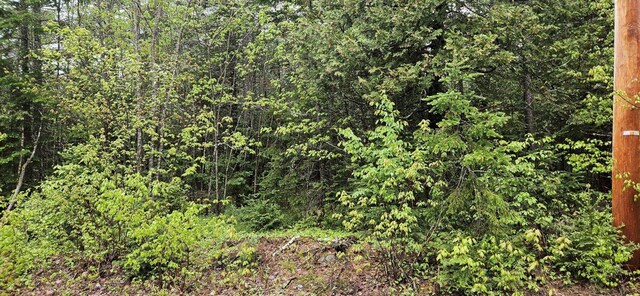 MR8L4-5 Shingle Mill Dr, New Vineyard, ME 04956