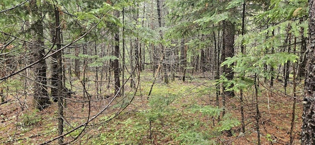 MR8L4-5 Shingle Mill Dr, New Vineyard, ME 04956
