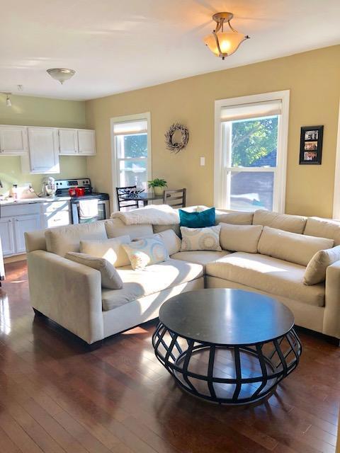 living room featuring plenty of natural light and dark wood-type flooring