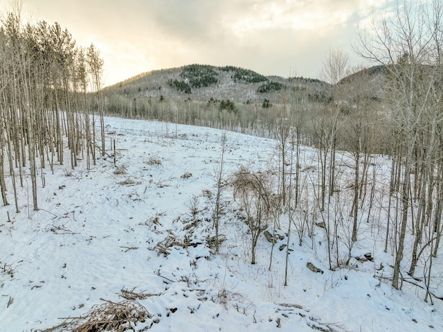 LOT2 Eaton Hill Rd, Rumford ME, 04276 land for sale