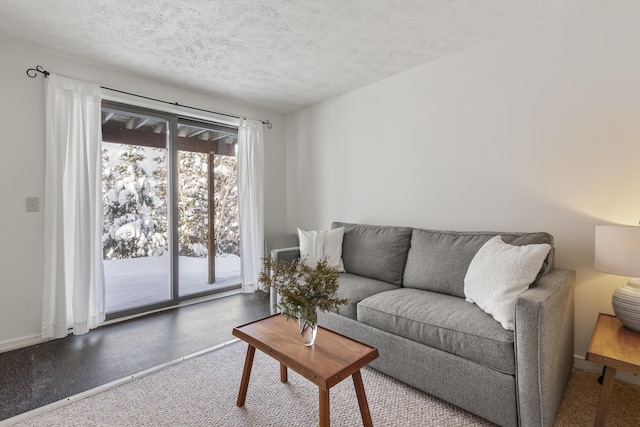 living room featuring a textured ceiling