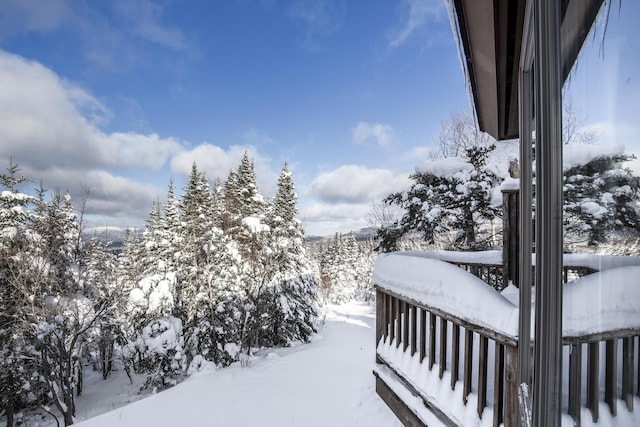 view of snowy yard