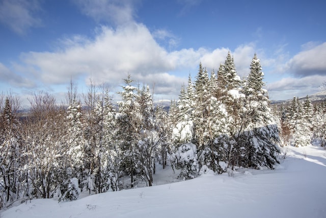 view of snowy landscape