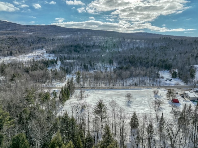 Listing photo 2 for LOT18-1 Isthmus Rd, Rumford ME 04276