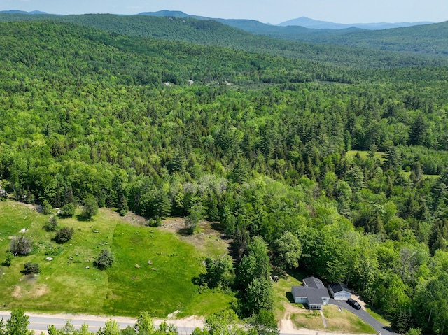 LOT18-1 Isthmus Rd, Rumford, ME 04276