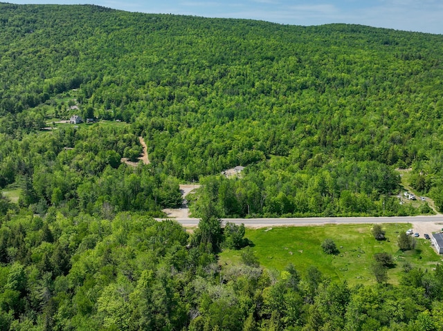LOT18-1 Isthmus Rd, Rumford, ME 04276