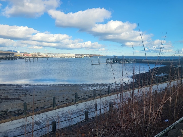 view of water feature