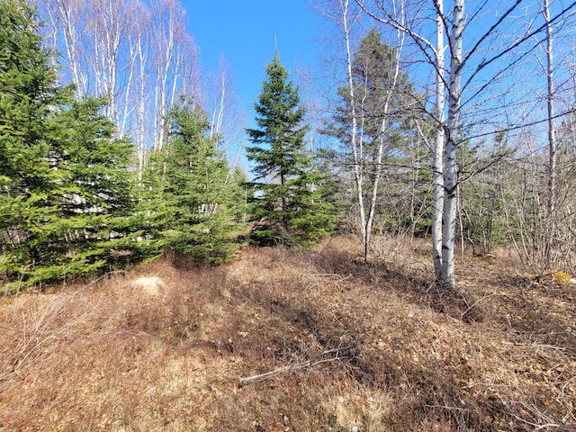 29 Reef Point Rd, Addison ME, 04606 land for sale