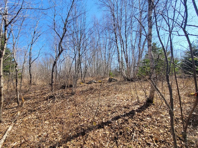 29 Reef Point Rd, Addison, ME 04606