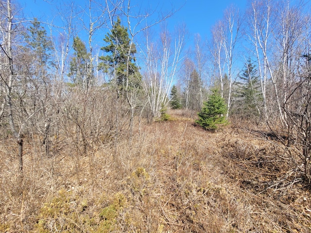 29 Reef Point Rd, Addison, ME 04606