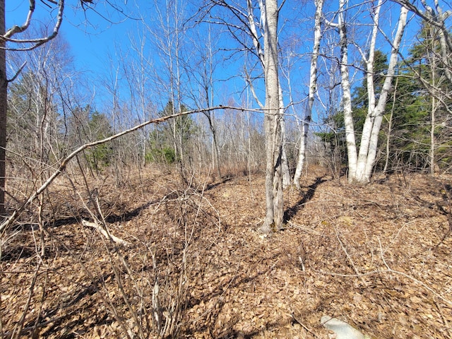 29 Reef Point Rd, Addison, ME 04606