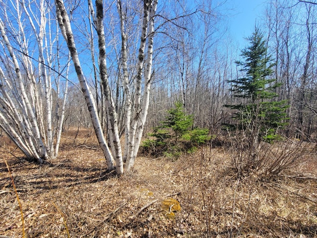 29 Reef Point Rd, Addison ME, 04606 land for sale