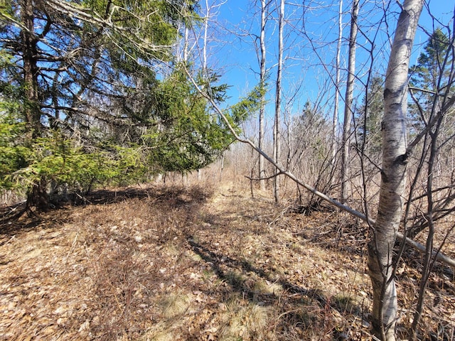 29 Reef Point Rd, Addison, ME 04606