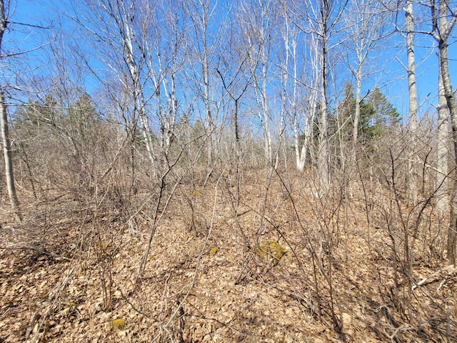 29 Reef Point Rd, Addison, ME 04606