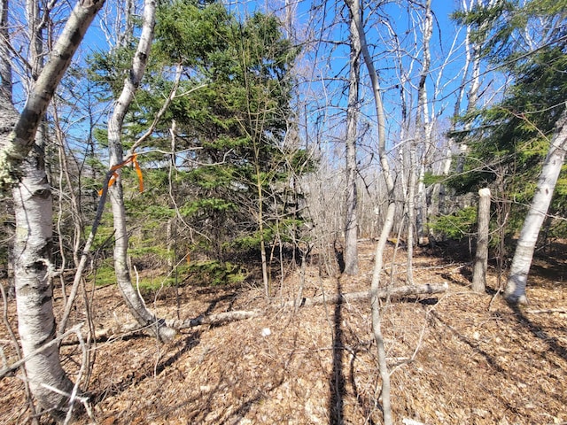 29 Reef Point Rd, Addison, ME 04606