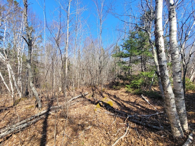 29 Reef Point Rd, Addison, ME 04606