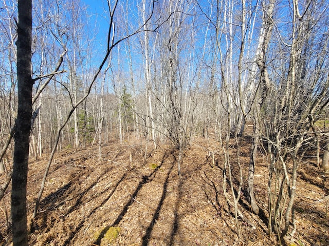 29 Reef Point Rd, Addison, ME 04606