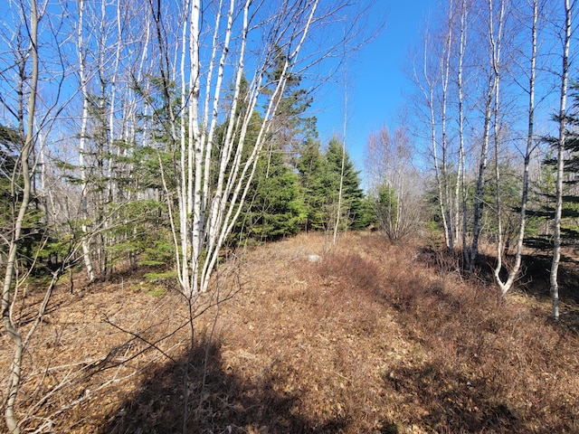 29 Reef Point Rd, Addison, ME 04606