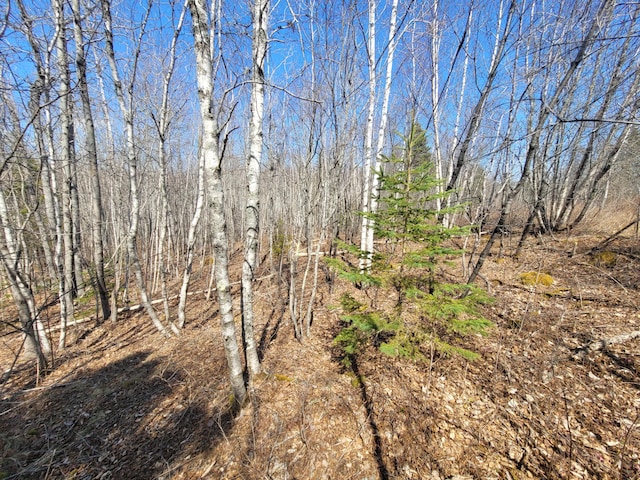 29 Reef Point Rd, Addison, ME 04606