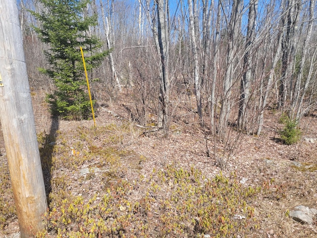 29 Reef Point Rd, Addison, ME 04606