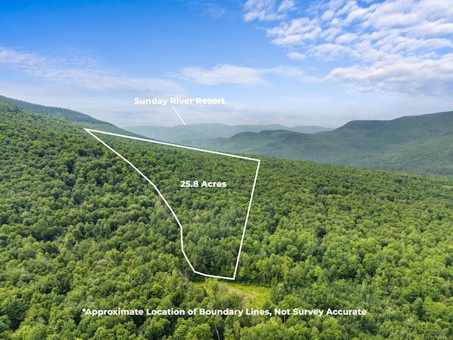 LOTC02 Puzzle Mountain Rd, Newry ME, 04261 land for sale