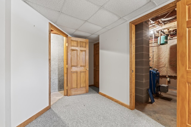 corridor featuring a drop ceiling and carpet