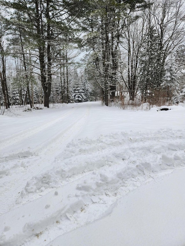 view of snowy yard