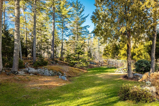 24 Timbercliffe Dr, Camden, ME 04843 - photo 40