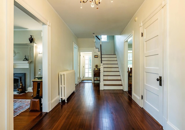 interior space featuring radiator heating unit, ornamental molding, and dark wood-type flooring