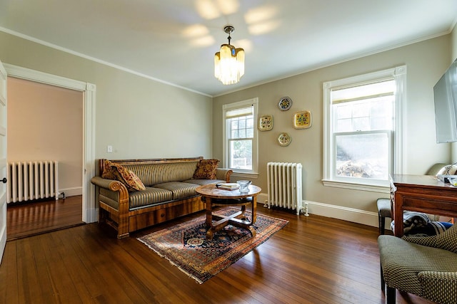 living room with dark hardwood / wood-style flooring, crown molding, and radiator