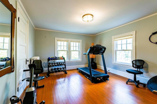 exercise area with crown molding and hardwood / wood-style floors