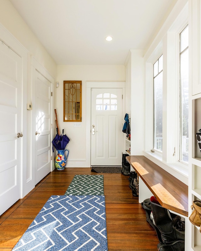 foyer entrance featuring dark hardwood / wood-style floors and a healthy amount of sunlight