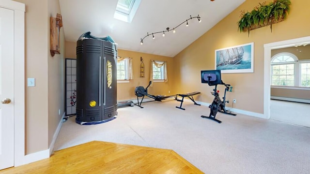 workout area featuring carpet, a healthy amount of sunlight, and lofted ceiling with skylight