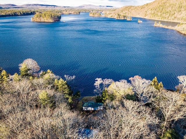 drone / aerial view featuring a water and mountain view