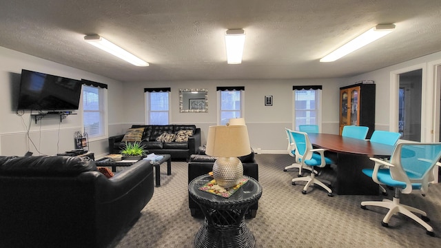 interior space with carpet flooring and a textured ceiling