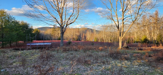 view of yard with a mountain view and a trampoline