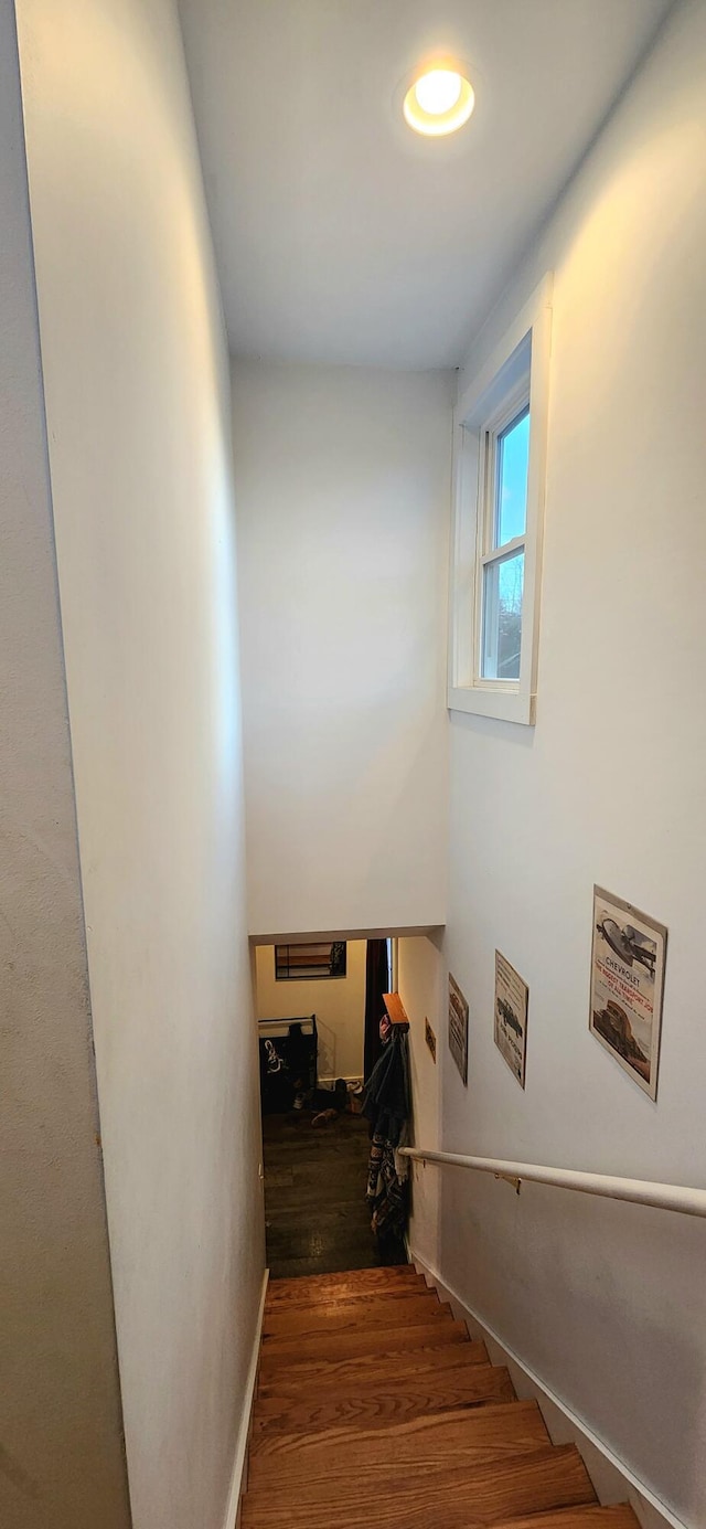 stairway with hardwood / wood-style floors