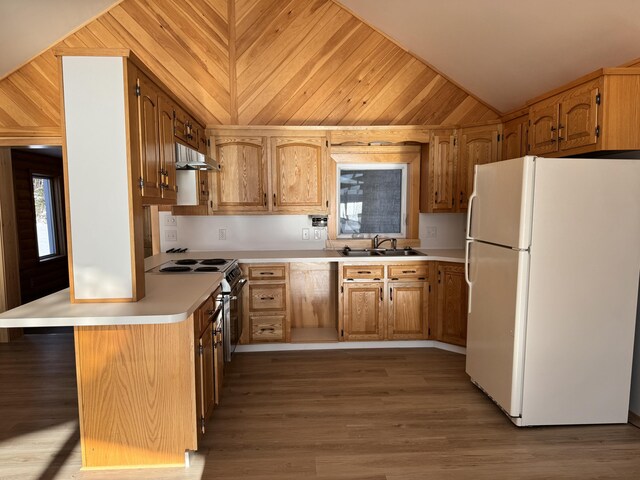 kitchen featuring sink, wood walls, hardwood / wood-style floors, white fridge, and stainless steel range with electric cooktop