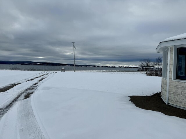 view of snowy yard