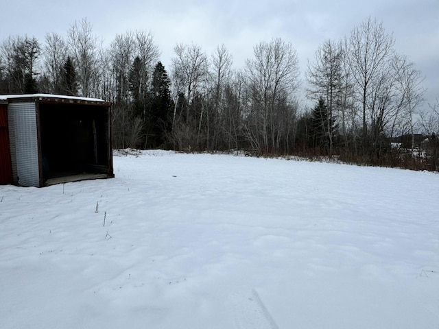 view of yard covered in snow