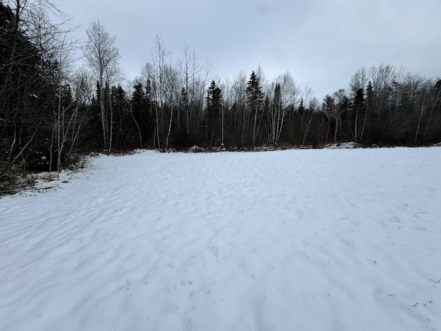 view of snowy yard