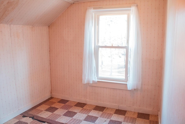 additional living space featuring a wealth of natural light and vaulted ceiling