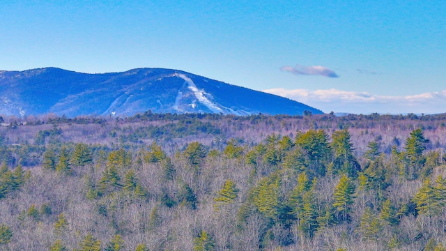 view of mountain feature featuring a forest view