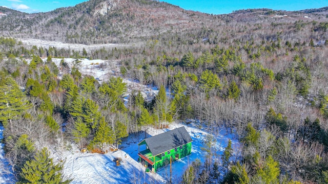 drone / aerial view featuring a mountain view