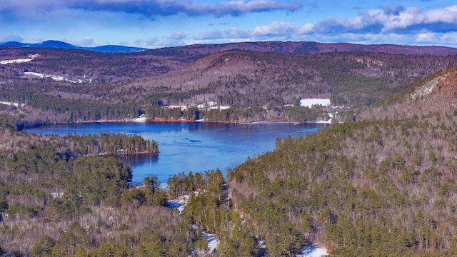 view of water feature with a mountain view and a forest view