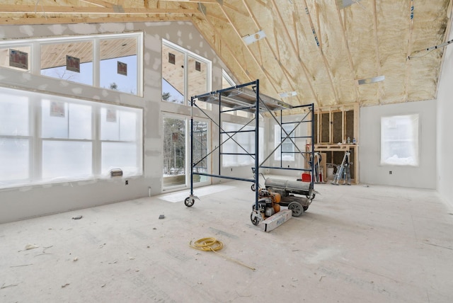 interior space featuring high vaulted ceiling